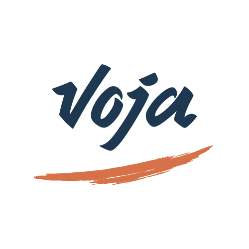 Logo - Voja Travel